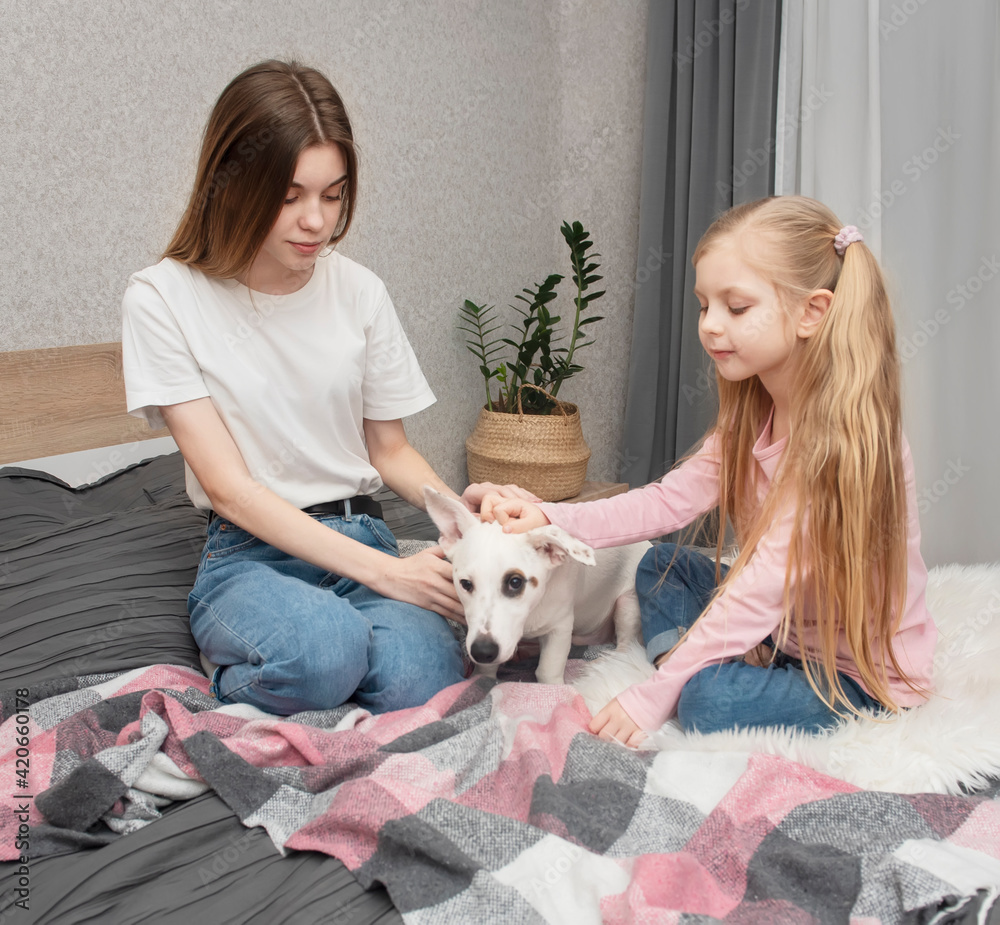 Teenage girl and child playing with their dog Teenage girl and child playing with their dog