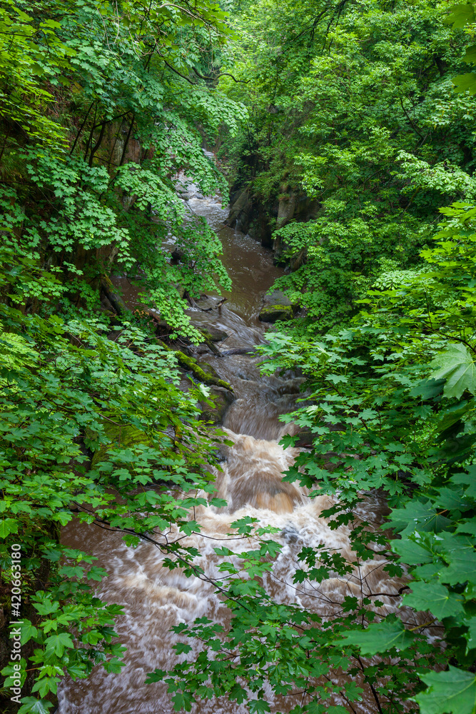 wildromantisches Bodetal im Harz