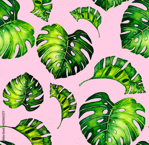 Seamless pattern of leaves monstera. Tropical leaves of palm tree.  background.