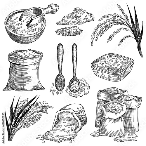 Rice grain in sacks and bowls sketch set. Rice ears plant vector illustration. Hand drawn cereal food product elements collection. Harvest, agriculture concept