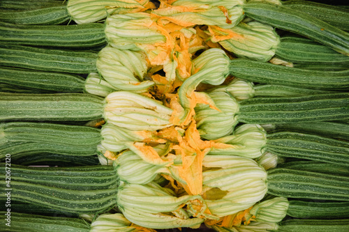 Closeup of freshly picked zucchini with flowers.