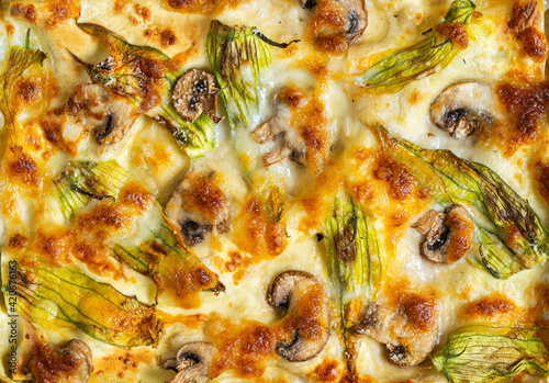 Baked Lasagna with béchamel sauce, mushrooms and courgette blossoms
