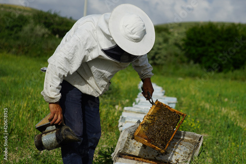 beekeeper working in their apiary © yakupyener