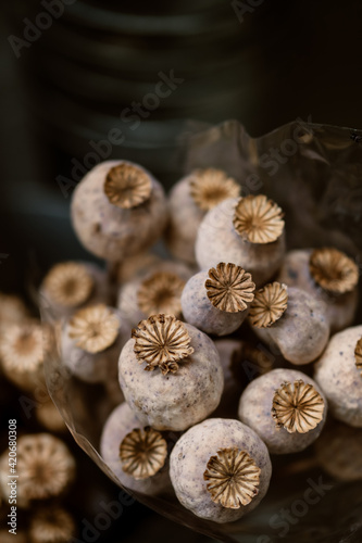 dried poppy flowers photo