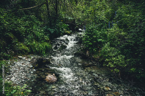 Scenic green landscape with clear mountain stream among lush vegetation and thickets in forest. Atmospheric scenery with spring water in mountain creek among wild flora. Small river among grasses.