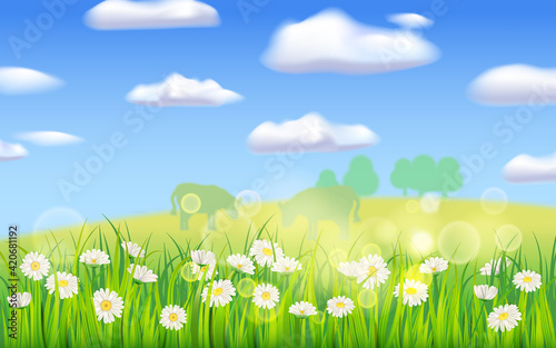 Spring landscape rural countryside, blooming daisies dandelions, rural nature. Panorama springtime green fields, blue sky. Vector background