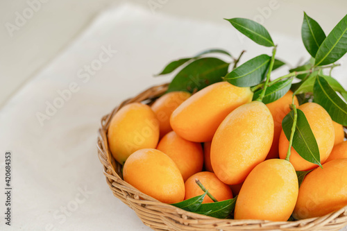 Big size fresh ripe organic sweet yellow marian plum or plum mango in wood basket on table. Tropical exotic summer fruit call Mayongchid or Maprang in Thailand with sweet and sour taste.