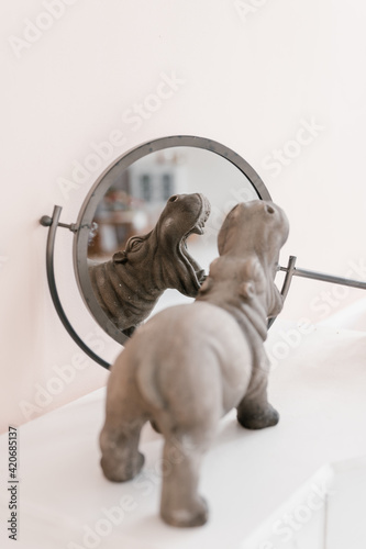 Hippo statuette near mirror on shelf photo