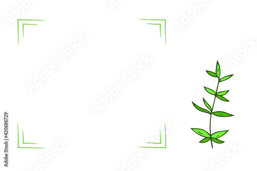 Wallpaper Mural Template frame hand-drawn with plants.Simple botanical banner, card, drawing line,minimalism.Isolated. Torontodigital.ca
