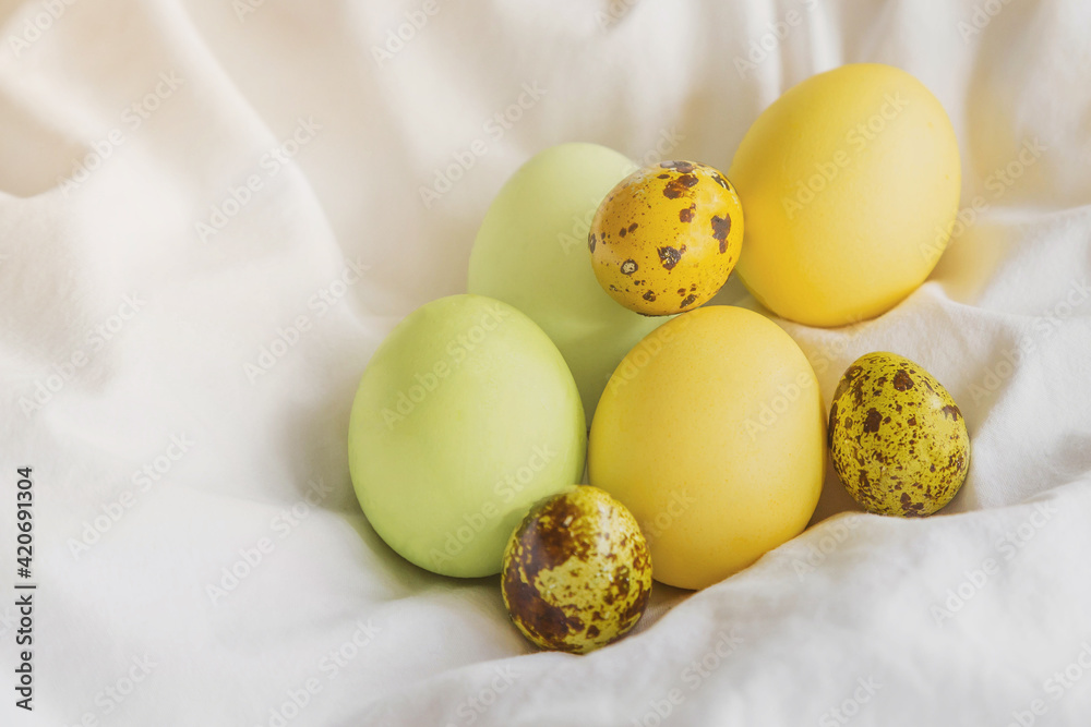 painted easter yellow and green chicken and quail eggs on white cloth, easter holiday celebration concept 