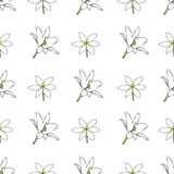 Vector white background white yellow lemony floral seamless pattern. Daisies, Lilies, Crocus. Seamless pattern background