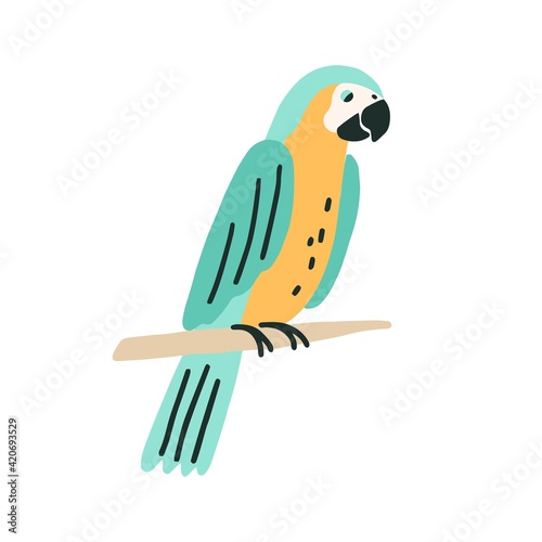 Black-and-yellow macaw sitting on tree branch. Colorful ara with bright feathers. Exotic bird with long tail. Colorful flat vector illustration of parakeet isolated on white background