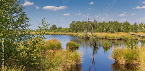 Panorama of wetlands of the national park Dwingelderveld in Drenthe, Netherlands photo