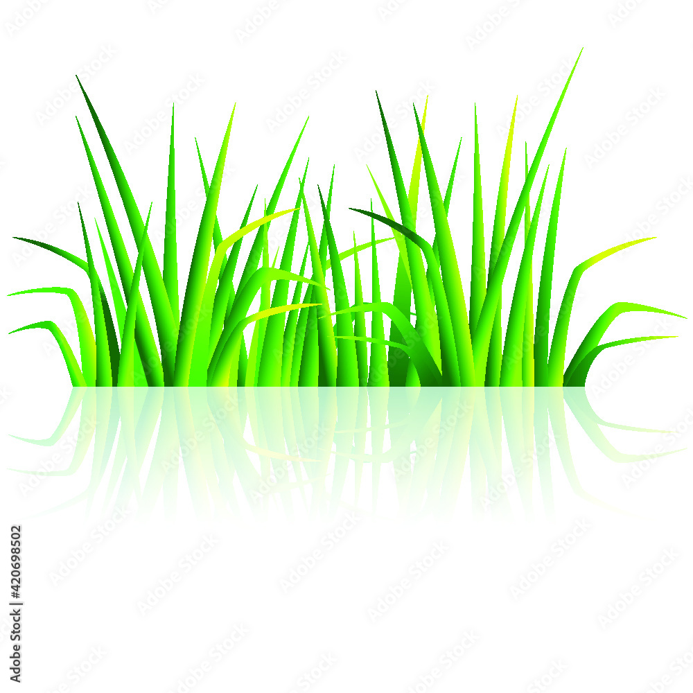 Vector background with green grass Vector background with green grass