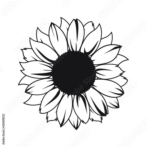 Sunflower vector illustration in black color