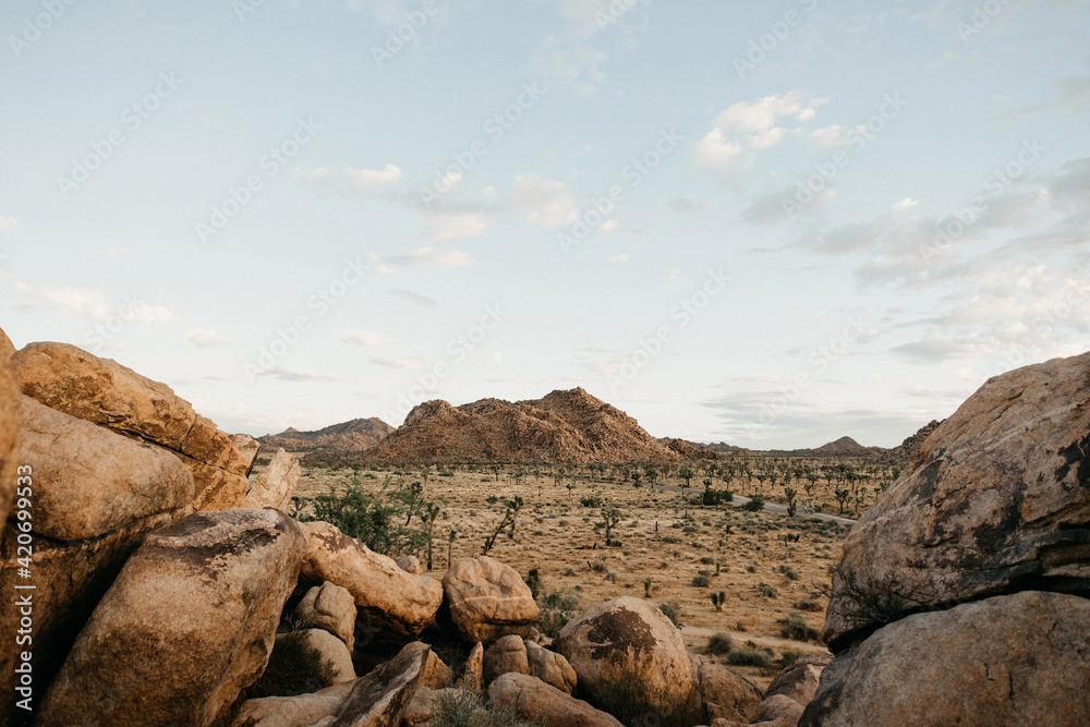 beautiful and dreamy landscape of Joshua Tree National Park beautiful and dreamy landscape of Joshua Tree National Park