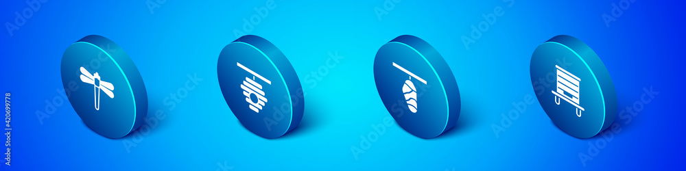 Set Isometric Dragonfly, Butterfly cocoon, Hive for bees and icon. Vector