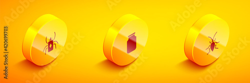 Set Isometric Beetle bug, Glass jar and Cockroach icon. Vector