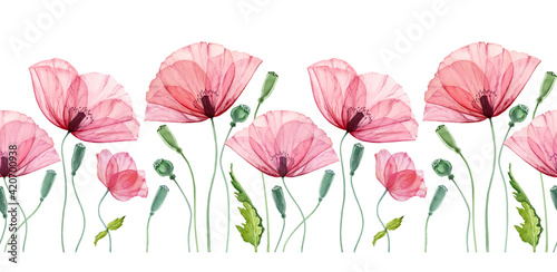 Watercolor seamless border with Poppy. Summer field flowers with green leaves. Floral horizontal line in repeat. Realistic botanical illustration © Katerina Kolberg