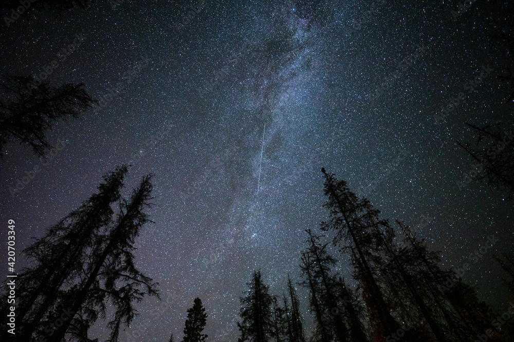 The Milky Way Galexy. The Milky Way Galexy.