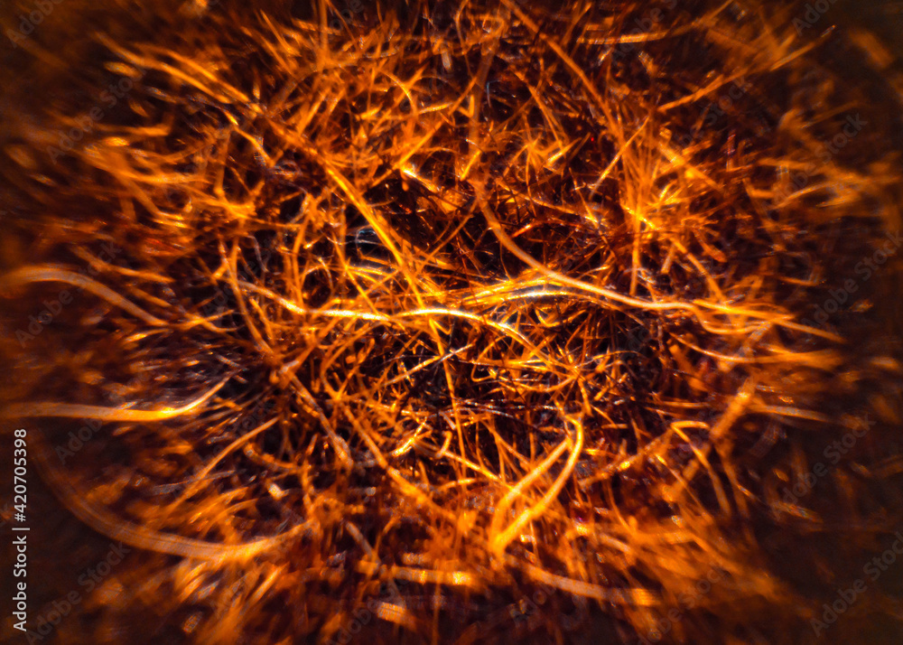 Macro shooting tangled hair, wool. Selective focus. Macro shooting tangled hair, wool. Selective focus.