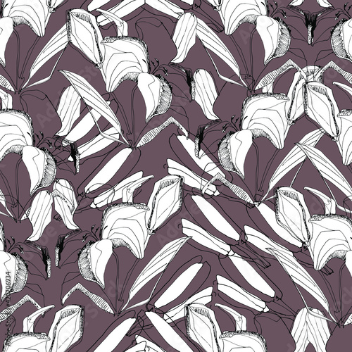 Lily, white lily pattern. Big beautiful flower. manual graphics. coloring book for children and adults, botany, plant element for textile decor and wallpaper, scrapbooking. isolated stock art