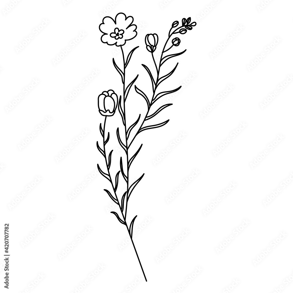 vector, isolated, hand drawn plants and grass