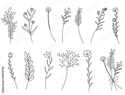 vector, isolated, leaves, grass, flowers, hand drawn set of plant