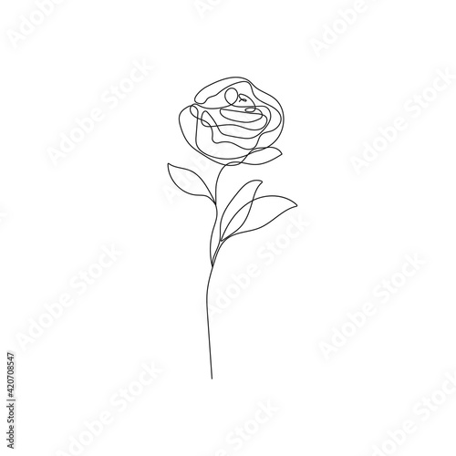 Vector Hand Drawn Line Art Drawing of Flower Rose. Minimalist Trendy Contemporary Floral Design Perfect for Wall Art, Prints, Social Media, Posters, Invitations, Branding Design.