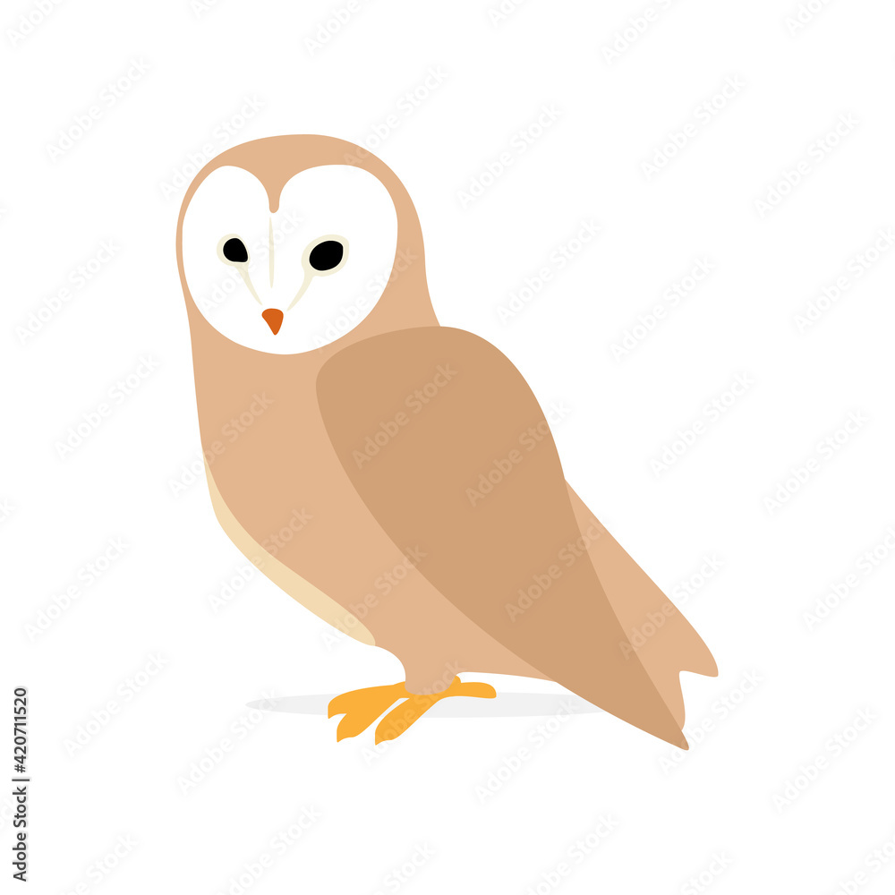 Owl or eagle-owl bird