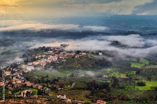 La valle degli ulivi