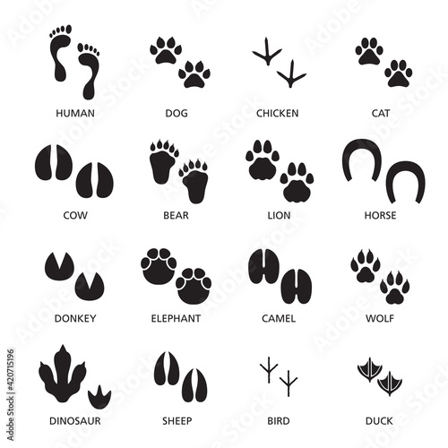 Vector set of footprint of different animals and human.
