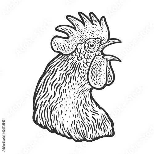 crowing cock rooster head sketch engraving vector illustration. T-shirt apparel print design. Scratch board imitation. Black and white hand drawn image.