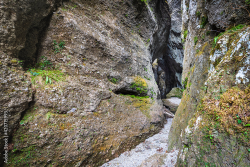 Environment of the gorges carved into the rock.