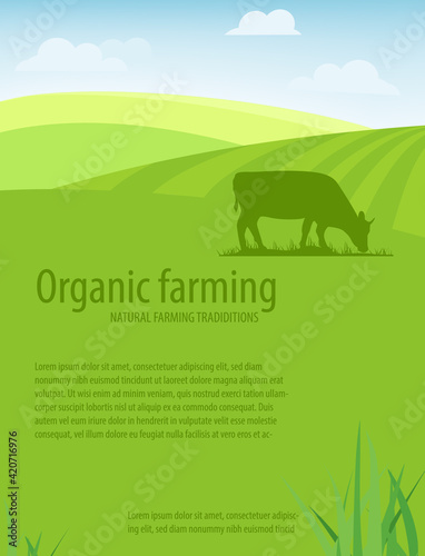 Agricultural rural landscape template