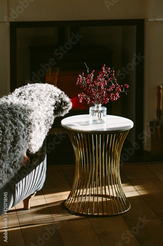 Red berries in a cosy living room photo
