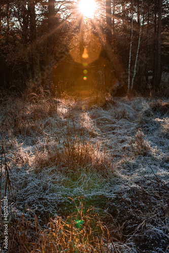 winter field with dew against sun with flares