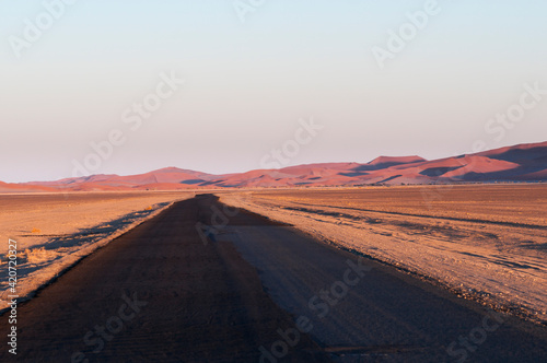 Road in the Namib Desert / Straight road in the Namib desert to the horizon, Namibia, Africa.