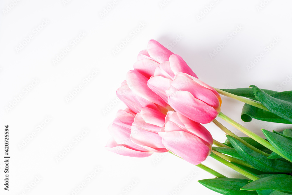 Spring flower pink tulips bouquet isolated on white Spring flower pink tulips bouquet isolated on white
