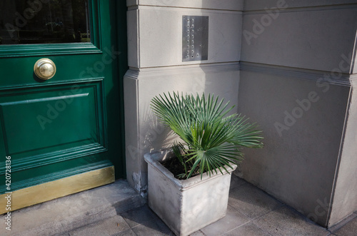 Entrance to apartment building in Mar del Plata, Argentina. Green wooden glass door, intercom on a gray wall and a plant in square concrete pot next to it. Stylish residential house doorway.