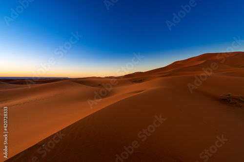 Scenic view of the beautiful Erg Chebbi dunes at dawn, with a camel caravan on the background, in Morocco, North Africa