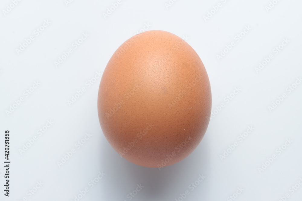 close up view of chicken egg isolated in white background close up view of chicken egg isolated in white background
