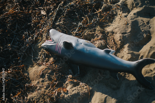 a shark toy on a beach photo