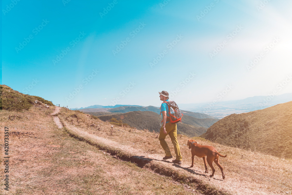 Man tourist with dog stands on top of a mountain.hikers adventure and the dog go walking