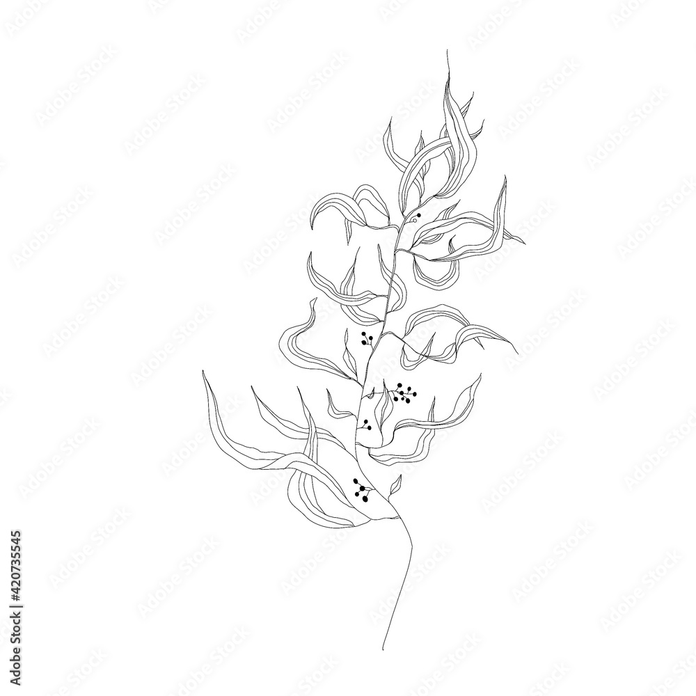 digital drawing of a branch with leaves. outline digital drawing of a branch with leaves. outline