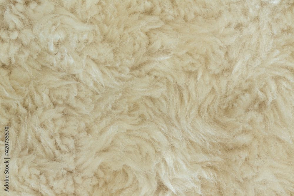 close up of fur close up of fur