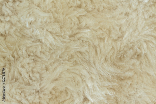 close up of fur