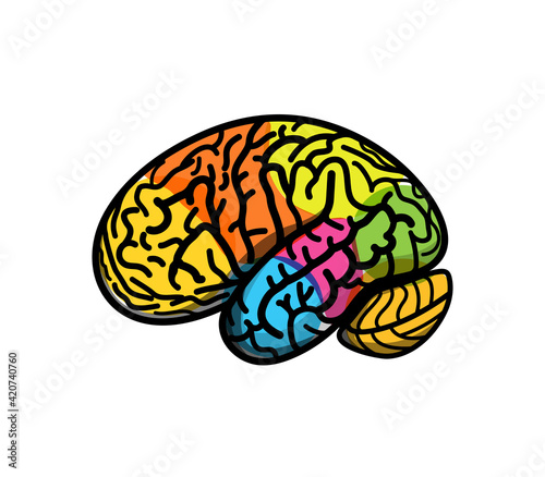 Brain parts with gyrus, colored atlas side view, cartoon vector illustration. Brain colored segments, logo concept