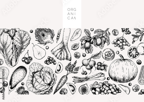 Hand drawn vegetables and fruits. Vector pupkin, pear,apple, artichoke, plum, grape, tomato, onion, cheery, gooseberry blackberry Engraved illustration Menu flyer package design.