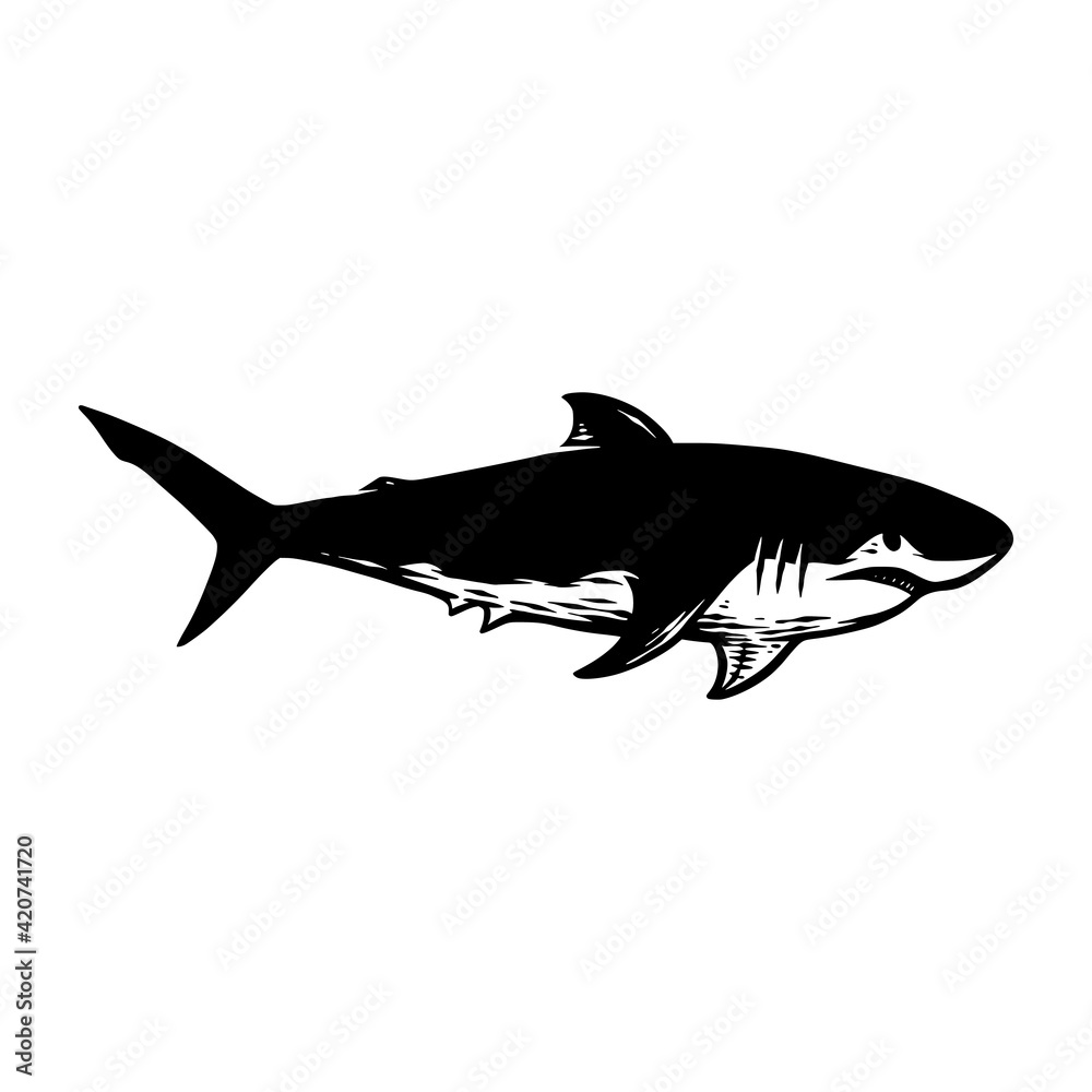 shark fish illustration draw silhouette